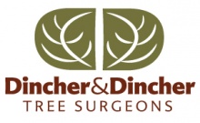 dincher and dincher tree surgeons logo